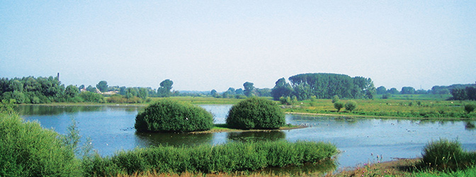 ooijpolder omgeving gelderse poort