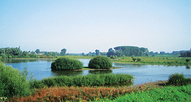 Rivier in een groene omgeving nabij Fletcher Hotel-Restaurant De Gelderse Poort