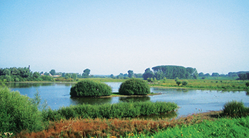 Rivier in een groene omgeving nabij Fletcher Hotel-Restaurant De Gelderse Poort